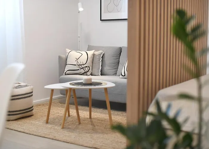 Consul - Center Zara